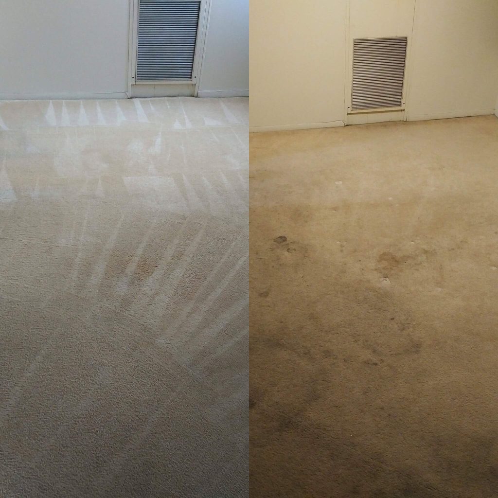 Carpet Cleaning Before and After