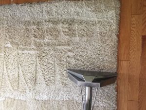 Ninja Carpet Cleaner