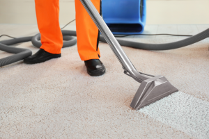 Ottawa Carpet Cleaning