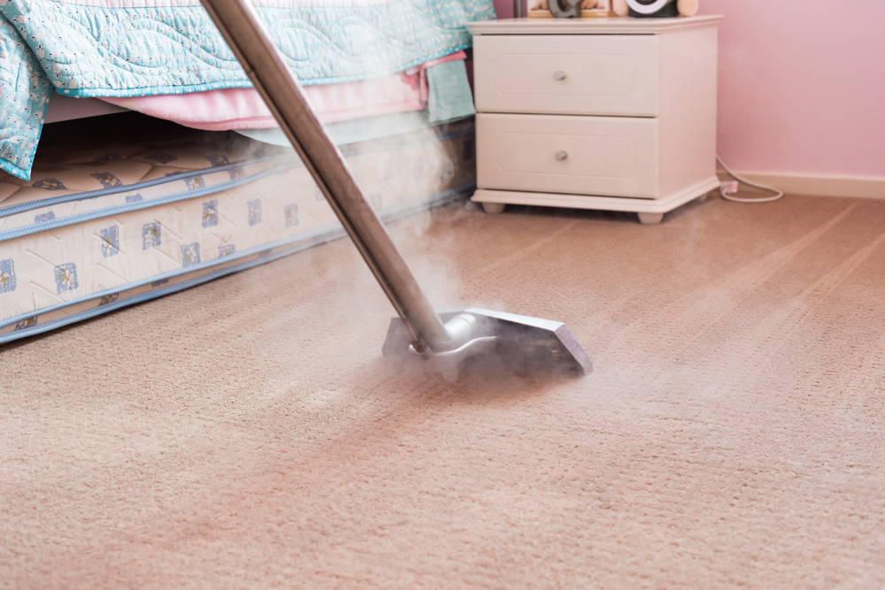 Comprehensive Guide: Steam Cleaning and Waterless Methods for Effective Rug  Cleaning